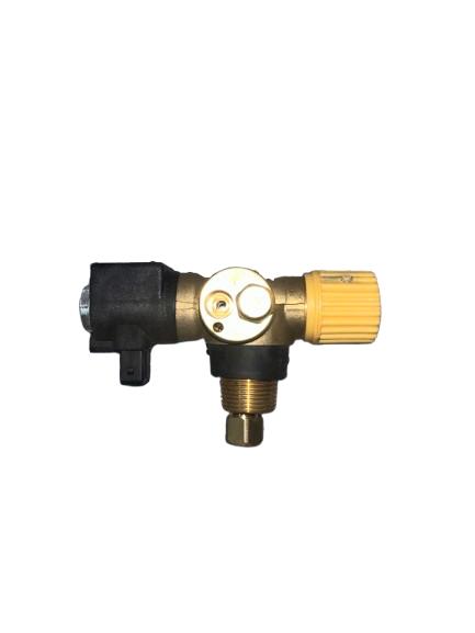 ECU (Electronic Control Unit)